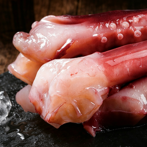 Frozen Giant Squid Tentacles
