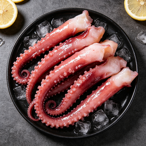 Frozen Giant Squid Tentacles